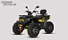 Квадроцикл PROMAX TAURUS 300 MAX-PRO LONG в Долгопрудном